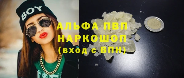 прущие грибы Лабытнанги