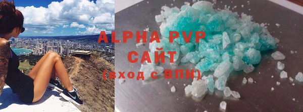 прущие грибы Лабытнанги