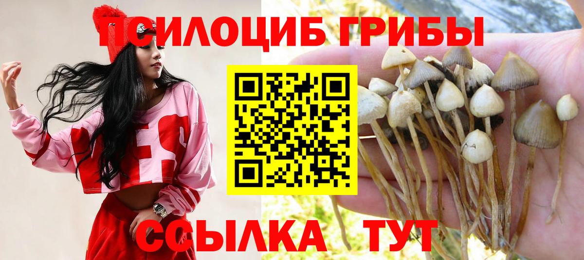 Кунгур  Галлюциногенные грибы MAGIC MUSHROOMS  Вход с VPN 
